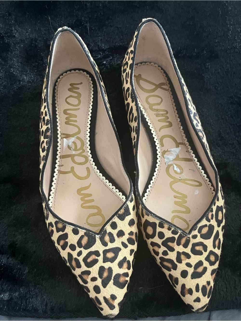 Sam Edelman Leopard Print Pointed Toe Flats - Tan & Black